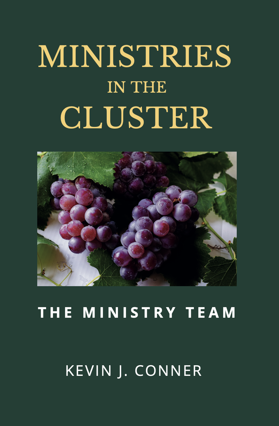Ministries in the Cluster - The Ministry Team