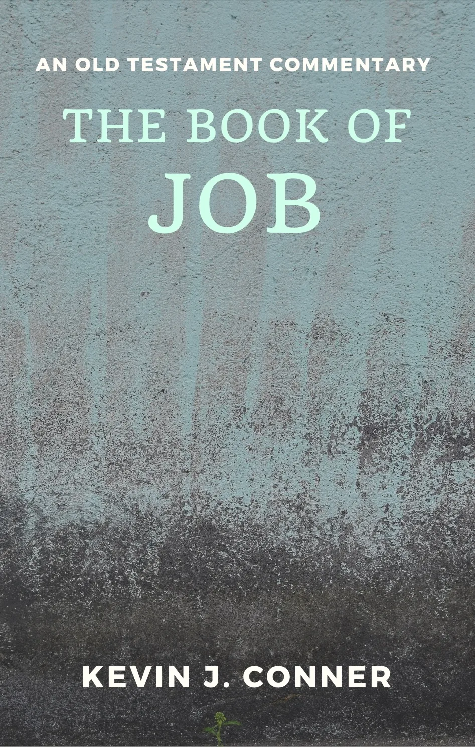 Job, A Commentary