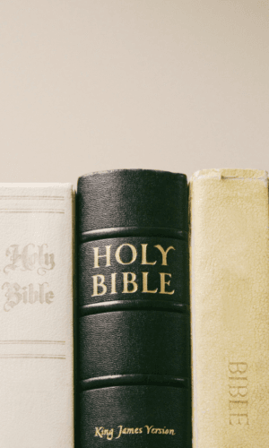 Bible Commentaries